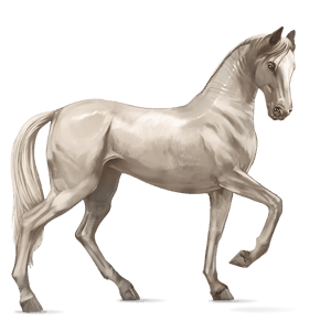 cavalo de passeio paint horse tobiano alazão