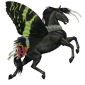 cavalo errante mariposa rainha