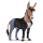 cavalo de passeio lusitano castanho escuro