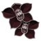 orchidee-noire.png?648858567