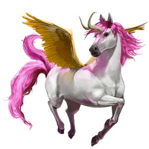 cavalo divino bellacórnio