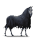 cavalo de passeio morte