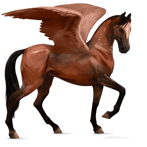 pégaso de passeio akhal-teke castanho sangue