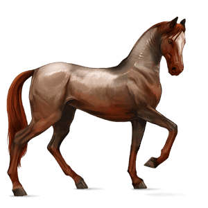 cavalo de passeio rosilho alazão