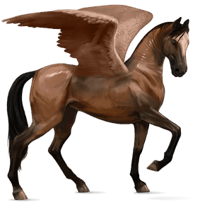 pégaso de passeio lusitano castanho