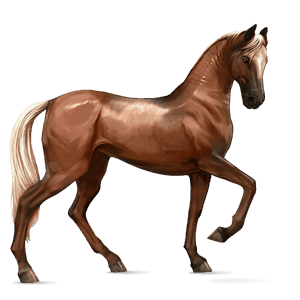 cavalo de passeio cavalo de sela alemã rosilho castanho