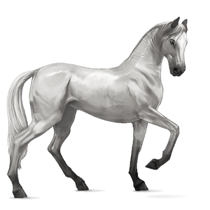 cavalo de passeio puro sangue inglês castanho escuro