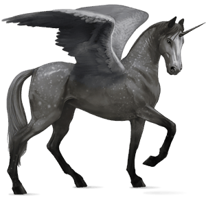 unicórnio alado de passeio akhal-teke tordilho negro