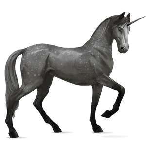 unicórnio de passeio akhal-teke tordilho negro