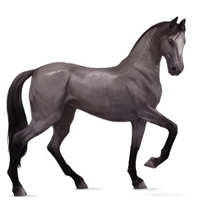 cavalo de passeio lobuno