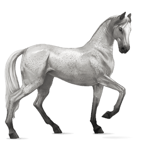 cavalo de passeio akhal-teke castanho escuro