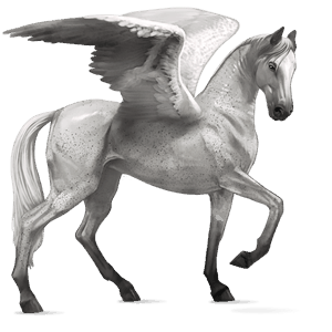 pégaso de passeio lusitano cremelo