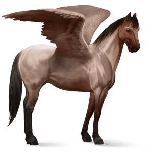 pégaso de passeio cavalo Árabe rosilho castanho