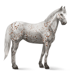 cavalo de passeio castanho sangue