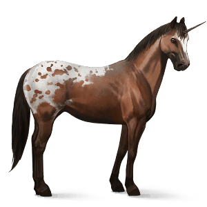 unicórnio de passeio appaloosa manto com pintas castanhas