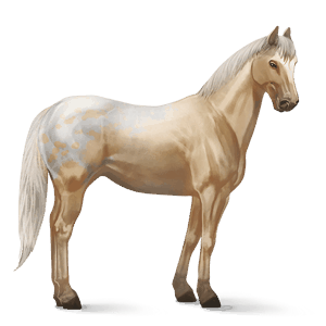 cavalo de passeio irish sport horse rosilho alazão