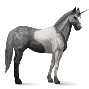 unicórnio de passeio paint horse tobiano lobuno