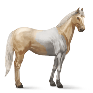 cavalo de passeio lusitano alazão