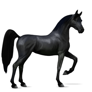 cavalo de passeio tordilho ruço