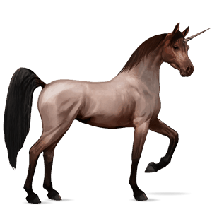 unicórnio de passeio cavalo Árabe rosilho castanho