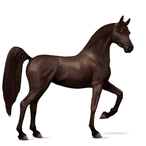 cavalo de passeio quarto de milha rosilho alazão