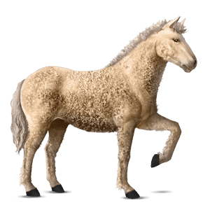 cavalo de passeio trotador francês alazão