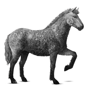 cavalo de passeio quarto de milha rosilho alazão