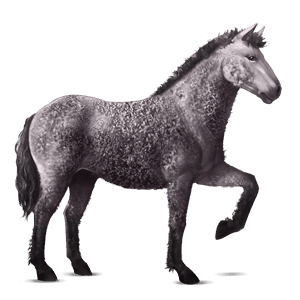 cavalo de passeio quarto de milha alazão ruano
