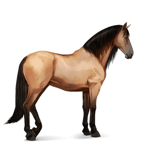cavalo de passeio curly tostado ruano