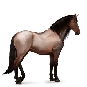 cavalo de passeio quarto de milha castanho sangue