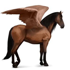 pégaso de passeio lusitano castanho
