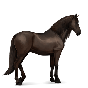 cavalo de passeio lusitano alazão tostado