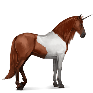 unicórnio de passeio selle français alazão
