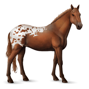 cavalo de passeio quarto de milha alazão ruano