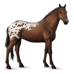 cavalo de passeio hanoveriano alazão