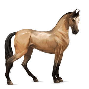 cavalo de passeio trotador francês alazão tostado
