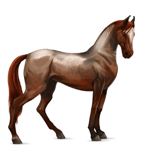 cavalo de passeio rosilho alazão