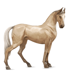 cavalo de passeio mangalarga marchador palomino