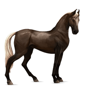 cavalo de passeio quarto de milha alazão tostado