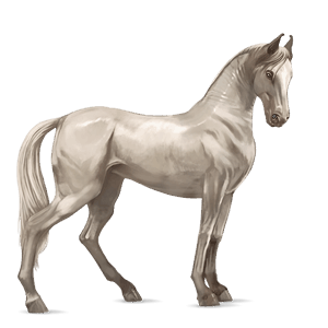 cavalo de passeio quarto de milha tordilho ruço