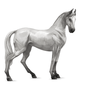 cavalo de passeio trotador francês castanho