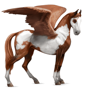 pégaso de passeio appaloosa manto alazão