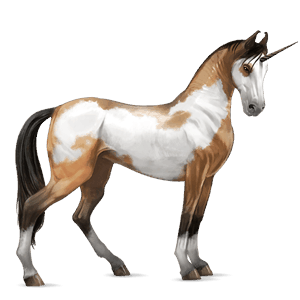 unicórnio de passeio akhal-teke alazão tostado