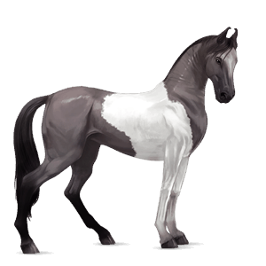 cavalo de passeio lusitano castanho