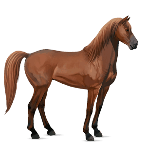 cavalo de passeio mustangue alazão