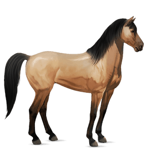 cavalo de passeio trotador francês castanho escuro