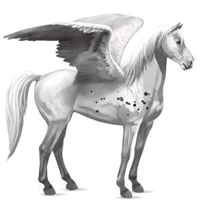 pégaso de passeio paint horse overo alazão tostado