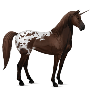unicórnio de passeio paint horse overo castanho