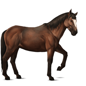 cavalo de passeio lobuno