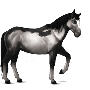 cavalo de passeio alazão